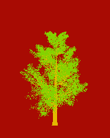 greenshift tree