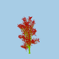 greenshift tree