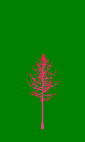 greenshift tree