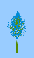 greenshift tree