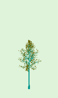 greenshift tree