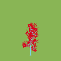 greenshift tree