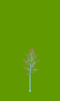 greenshift tree
