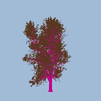 greenshift tree