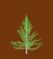 greenshift tree