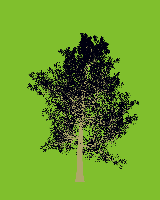 greenshift tree