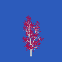 greenshift tree