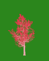 greenshift tree