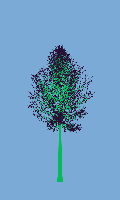 greenshift tree