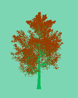 greenshift tree