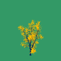 greenshift tree