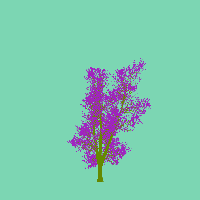 greenshift tree
