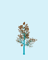 greenshift tree