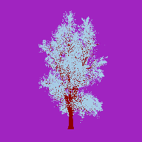 greenshift tree
