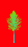 greenshift tree