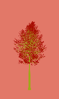 greenshift tree