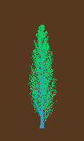 greenshift tree