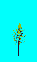greenshift tree