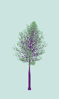greenshift tree