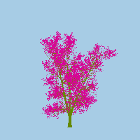 greenshift tree