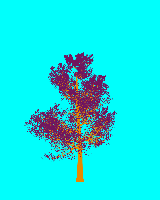 greenshift tree