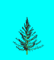 greenshift tree