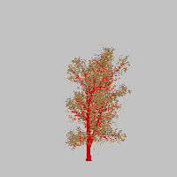 greenshift tree