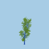 greenshift tree