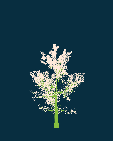 greenshift tree