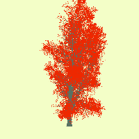 greenshift tree