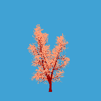 greenshift tree