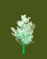 greenshift tree