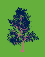 greenshift tree
