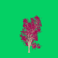 greenshift tree