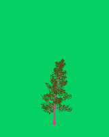 greenshift tree
