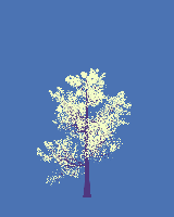 greenshift tree