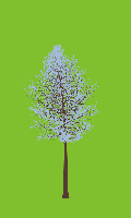 greenshift tree
