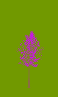 greenshift tree