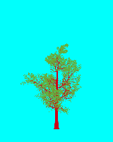 greenshift tree