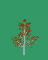 greenshift tree