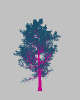 greenshift tree