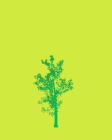 greenshift tree