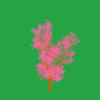 greenshift tree