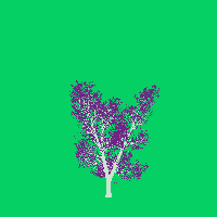 greenshift tree