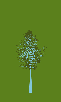 greenshift tree