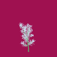 greenshift tree