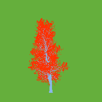 greenshift tree