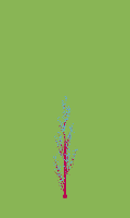 greenshift tree