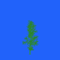 greenshift tree