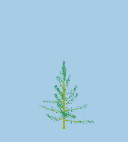 greenshift tree